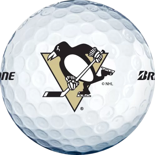 Bridgestone e6 NHL Licensed Golf Balls - 8 Teams Available