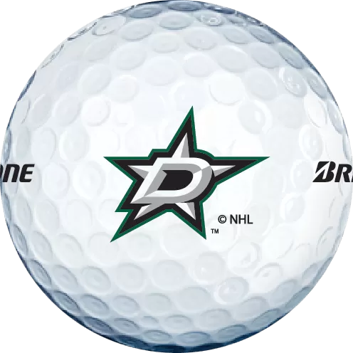 Bridgestone e6 NHL Licensed Golf Balls - 8 Teams Available