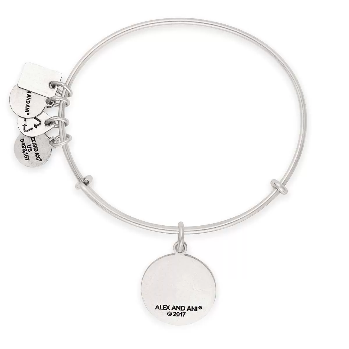 Team USA Figure Skating Charm Bangle